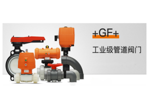 瑞士乔治费歇+GF+PVDF管路 